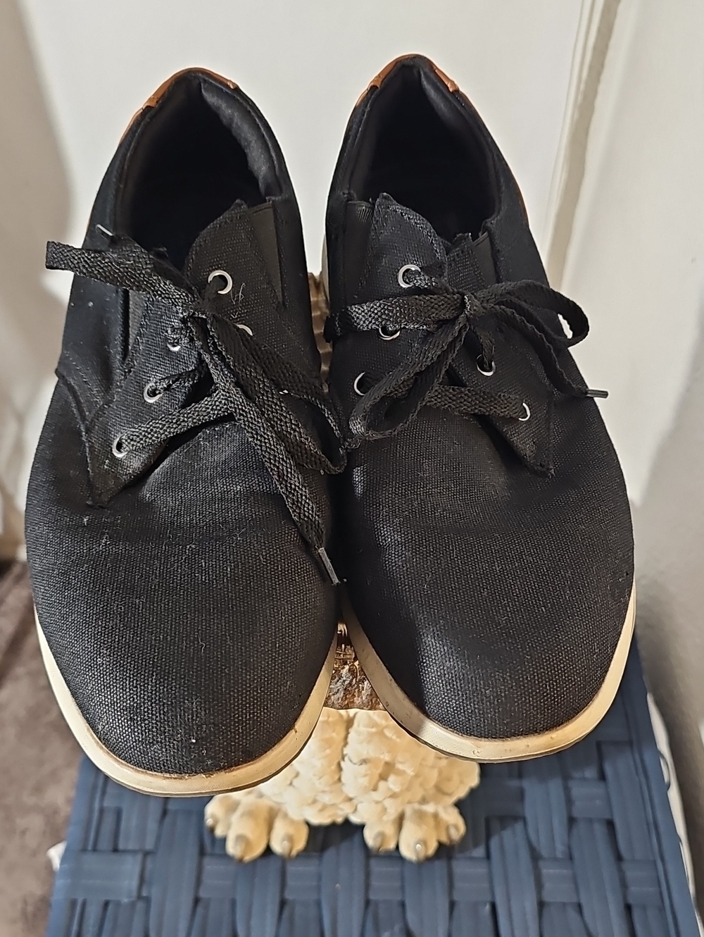 Skechers Black Canvas Lace-Up Sneakers with Cream Trim